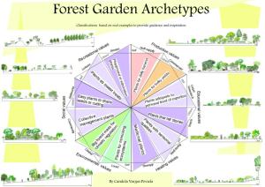 Forest Garden Archetypes model Candela Vargas
